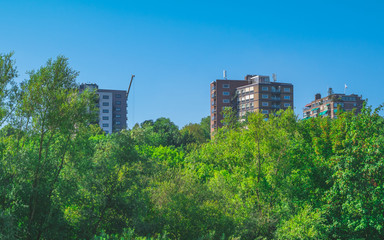 Fototapeta premium Three flat building behind forest