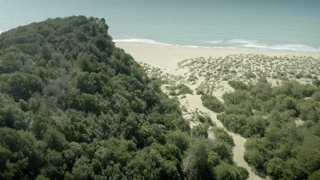 Mediterranean maquis shrubland on unspoilt sea beach