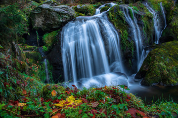 blach forest waterfall