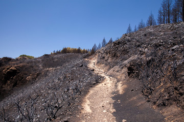 Gran Canaria after wild fire