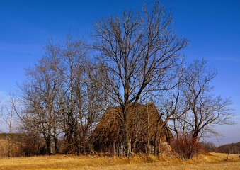 Fototapeta premium old house in the Apuseni mountains