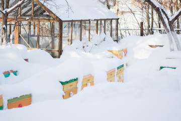 Beehives in apiary covered with snow in wintertime in the frosty dawn or the sunset. Colorful beehives with snowdrift on roofs.
