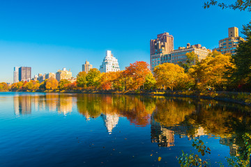 Central Park lake with autumn trees and skyscrapers