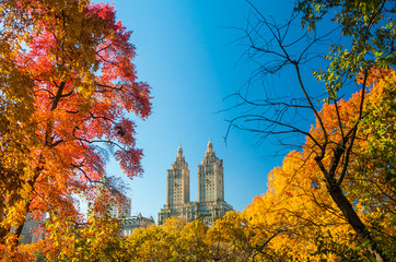 Autumn colors in Central Park with a skyscraper in the background