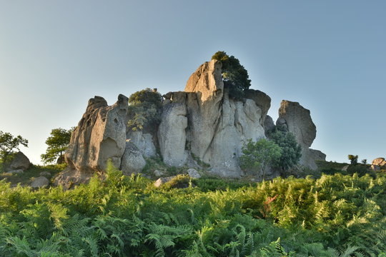 Altopiano dell' Argimusco - Montalbano Elicona- Sicilia Mionti Peloritani . Le pietre possiedono particolari forme, antropomorfe e zoomorfe