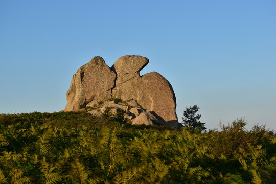 Altopiano dell' Argimusco - Montalbano Elicona- Sicilia Mionti Peloritani . Le pietre possiedono particolari forme, antropomorfe e zoomorfe