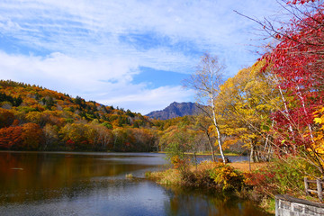 妙高戸隠高原国立公園。秋の小鳥が池より戸隠連峰を望む。長野　日本。１０月下旬。