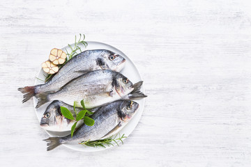 Four Fresh Royal Dorades on a dish on white wooden background. Healthy food concept. Top view, copy space.