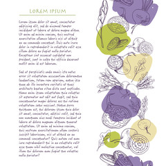 Food background with colorful beet root vegetable with brush stroke Hand drawn vertical social media template