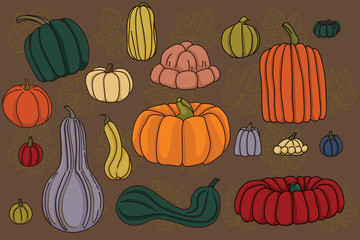 cartoon colorful set of pumpkins .vector illustration