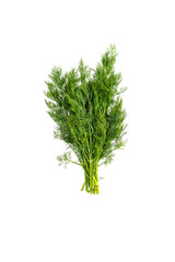 Sprigs of  fresh natural dill , isolate