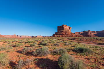 Valley of the Gods in Utah landscape of red butte and desert greenery