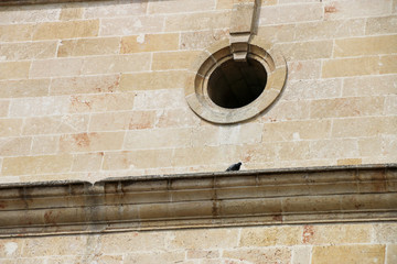 Kurtuluş mosque , (old Surp Asdvadzadzin Church)