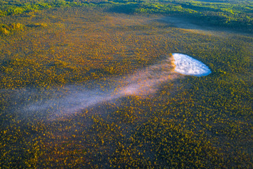 Small lake at a swamp