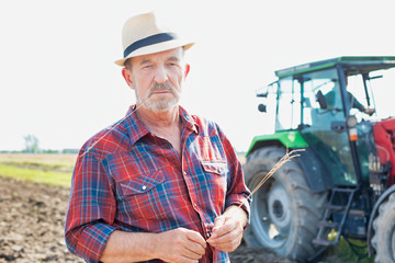 Portrait of senior farmer standing and holding wheat crop against mature farmer driving tractor in field