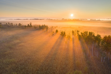 Foggy sunrise at a swamp