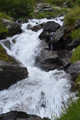 Torrent des Alpes