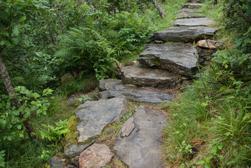 Steiniger Wanderweg