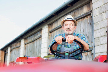 Senior farmer driving tractor in barn