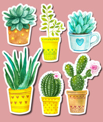 Watercolor cactus and succulents. Raster illustration for greeting cards,