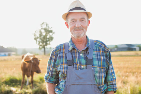 Senior Farmer Wearing Hat Standing Against Brown Cow In Farm 