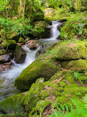 清水瀑園　大分県玖珠町