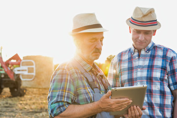 Fototapeta premium Senior farmer showing digital tablet to coworker in field with yellow lens flare in background