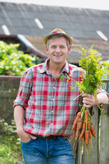 Mature farmer showing newly harvest carrots in field