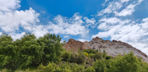 Green fields and Dry mountainds of Ladakh, India.
