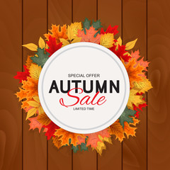 Abstract Vector Illustration Autumn Sale Background with Falling Autumn Leaves