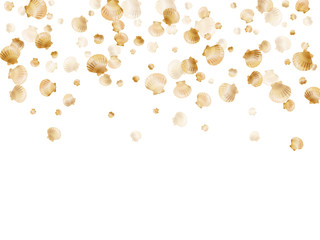 Gold seashells vector, golden pearl bivalved mollusks.