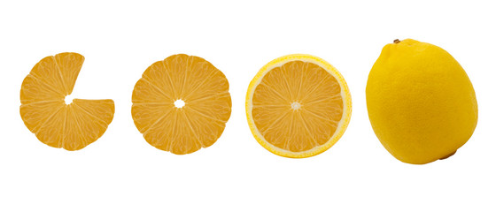 set of citrus fruits isolated on white background