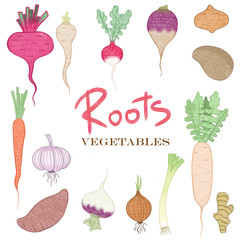 illustrations set vegetables