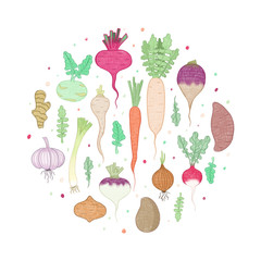 illustrations set vegetables