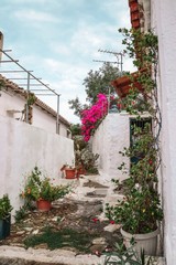 Fototapeta na wymiar Beautiful greek courtyard with flowers