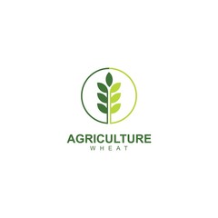 wheat vector icon illustration template, logo design