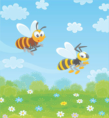 Funny striped bee and wasp flying over a green field with wildflowers on a pretty summer day, vector illustration in a cartoon style