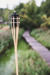 Bamboo torch on a background of blurred shrubs - tourism and leisure