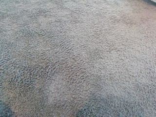 texture velours , moquette grise