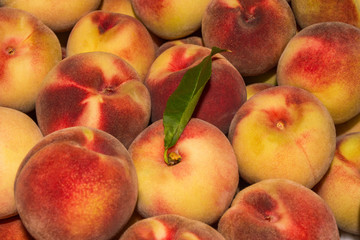 Peach Background. Texture background of sweet red ripe peaches. Ripe peaches close-up.