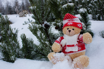 Cute brow teddy bear on white snow brackground