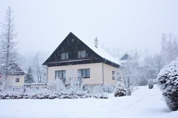 Beauty snowing at the  park