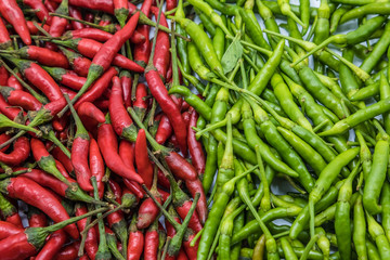 red chili peppers isolated on white background