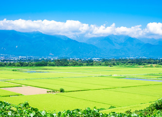 Fototapeta premium 夏から秋へ 安曇野の田園風景