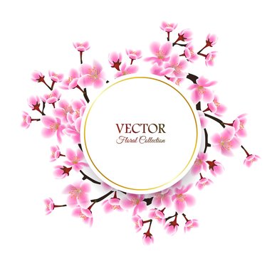 Spring cherry blossom frame - isolated round text template with sakura frame