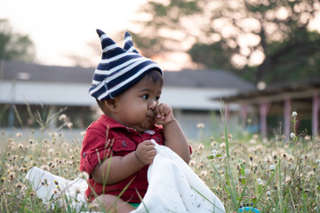 Cute happy little asian baby boy sitting at white flower garden