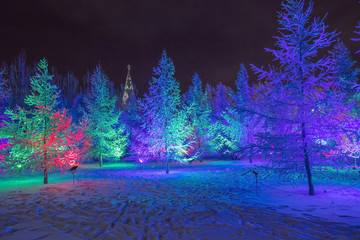 Beautiful and colorful winter background. Christmas background for greeting cards