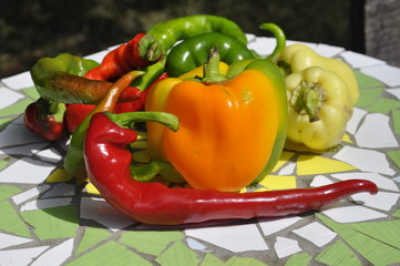 Mexican hot chili peppers colorful mix 