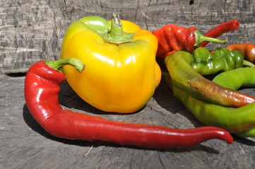 Mexican hot chili peppers colorful mix 