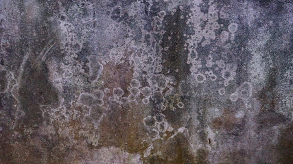 texture of a stone wall